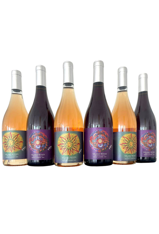 PROMO BLENDS: ¡4 vinos +2 de regalo! y ENVÍO SIN CARGO.